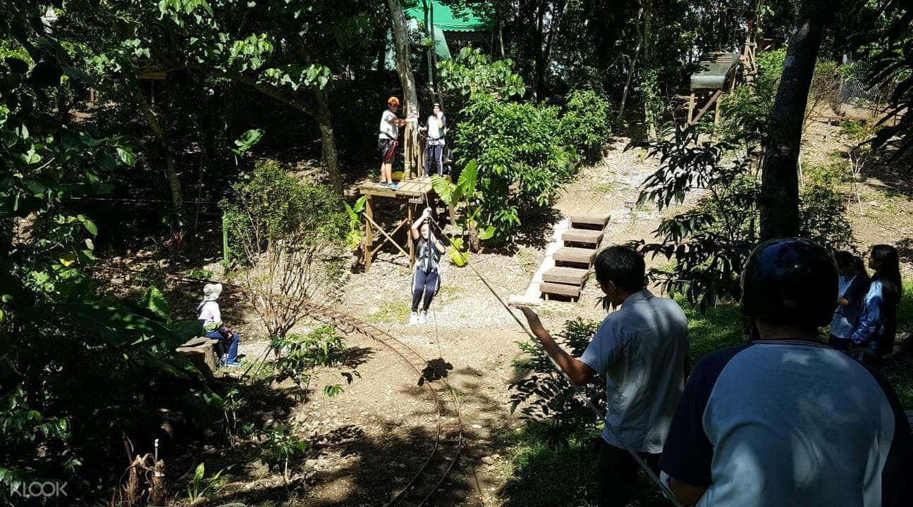 Tree Top Adventure in Hualien3