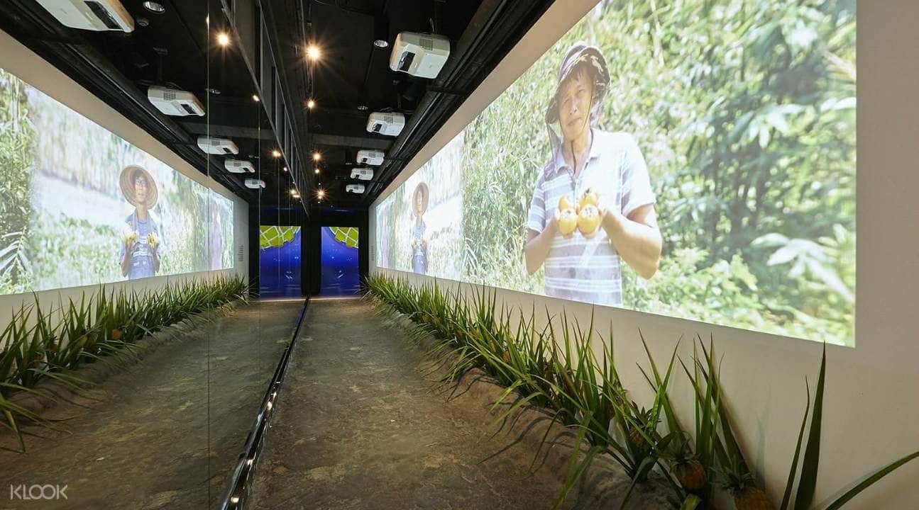 Vigor Kobo Pineapple Cake Museum Tour with DIY Pineapple Cake Making2