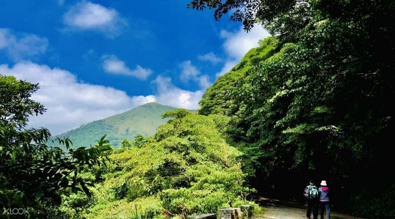 Yangmingshan Private Car Charter2