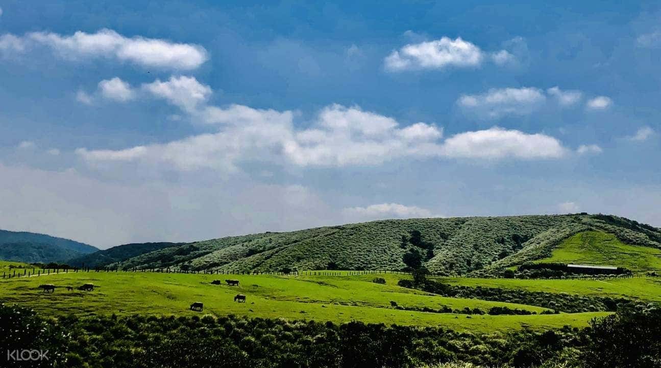 Yangmingshan Private Car Charter3