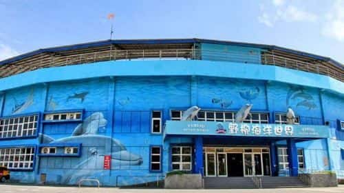 Yehliu Ocean World2