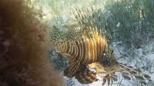Yehliu Ocean World1