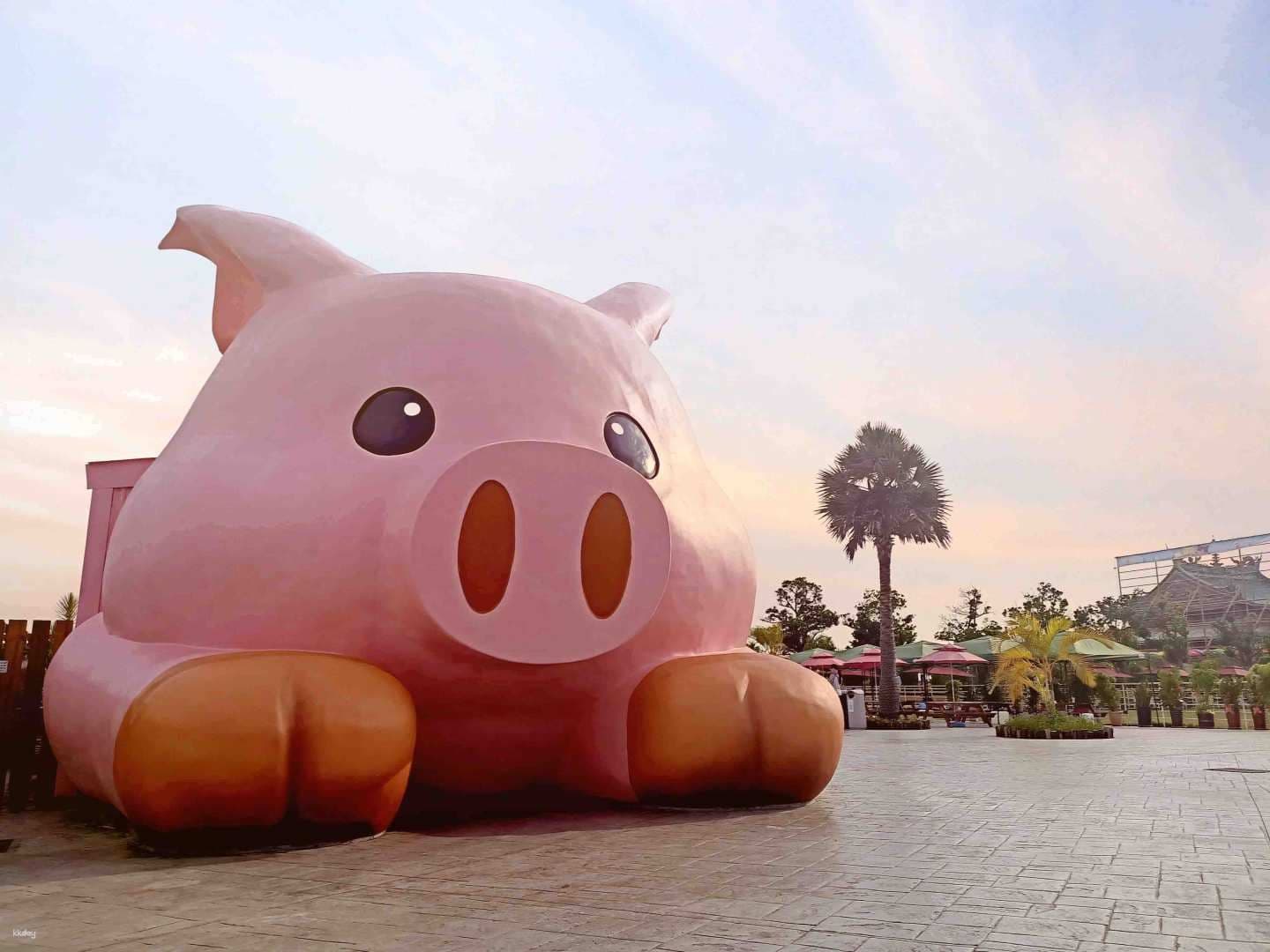 Chiayi Three Little Pigs Leisure Farm Ticket | Free Cancellation