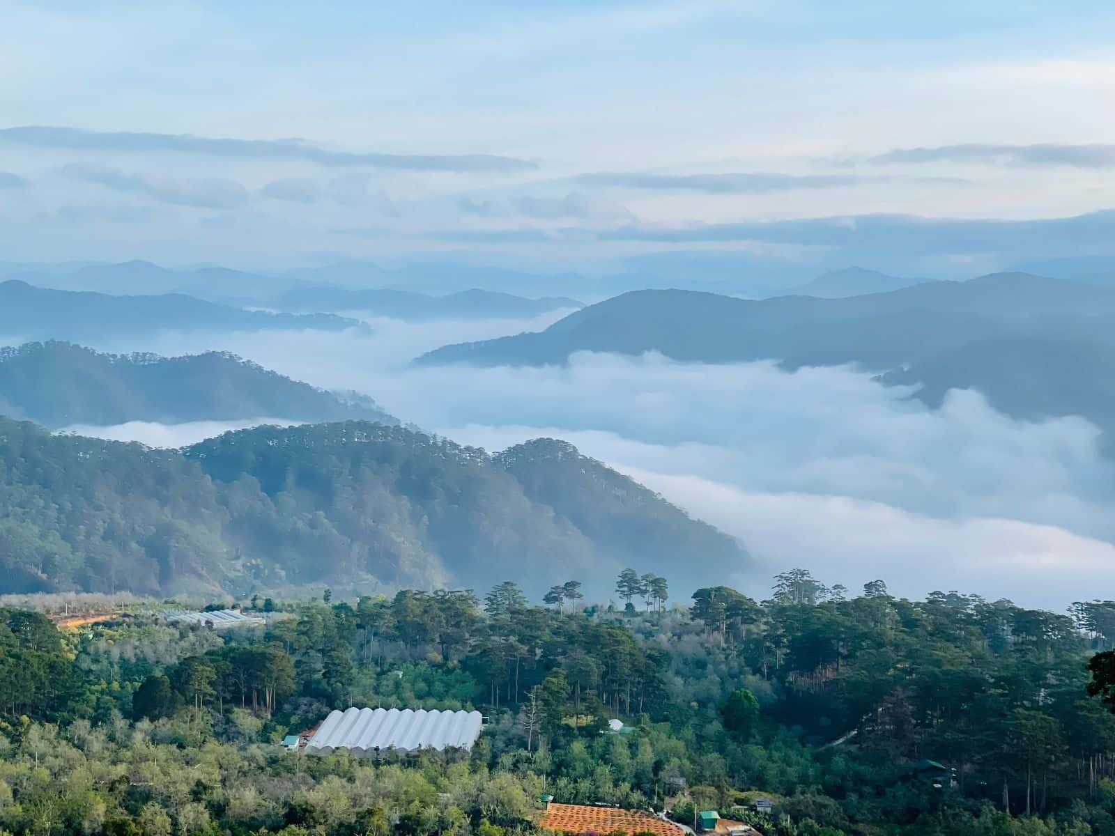 Cloud Hunt – Experience Special Products In Da Lat1