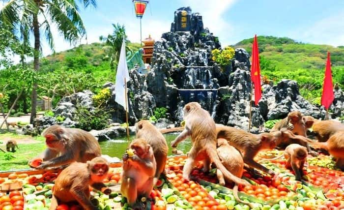 Combo Monkey Island + Orchids Island Ticket in Nha Trang3