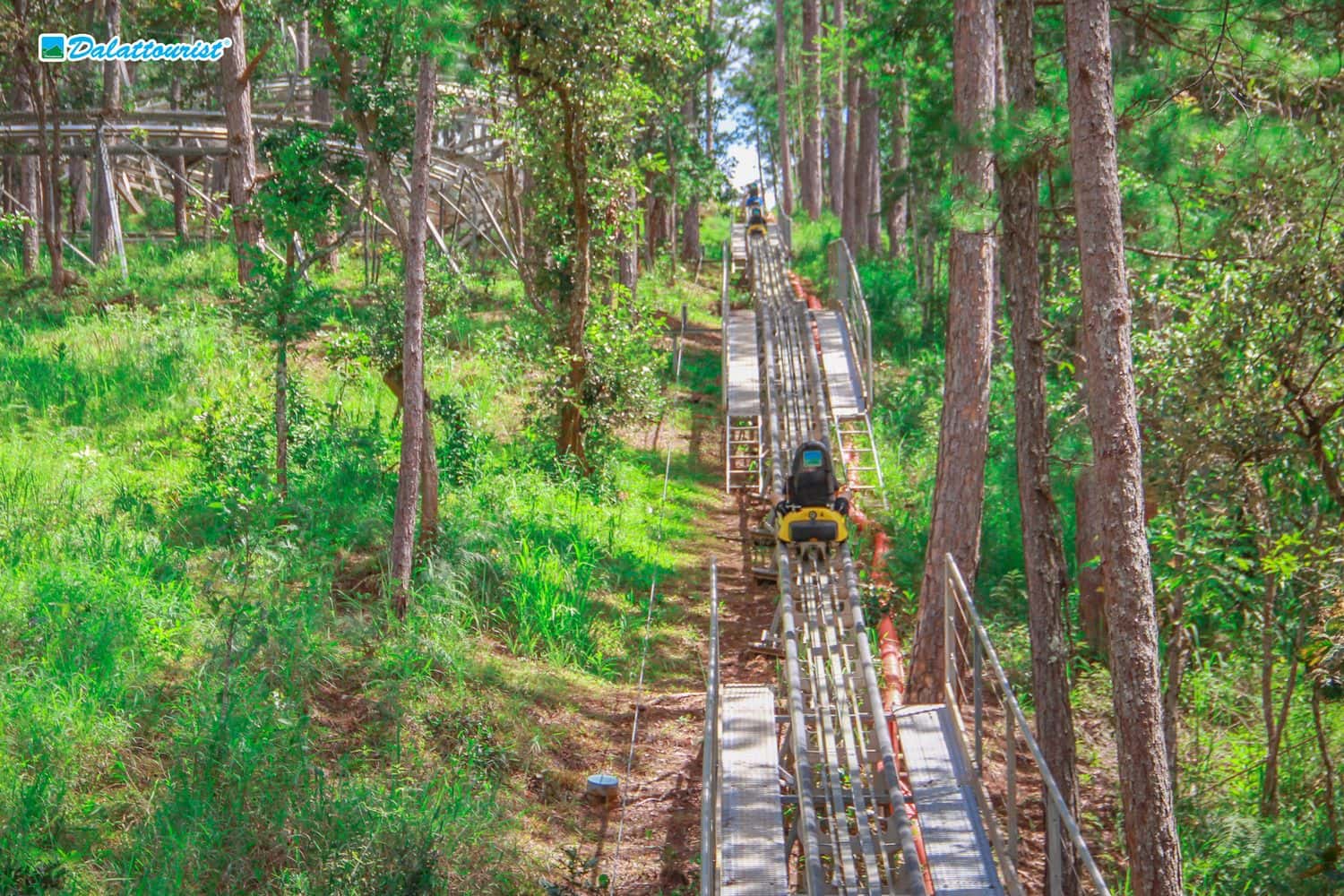 Datanla Alpine Coaster Experience2