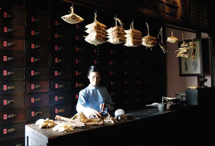 Fito Museum - Traditional Vietnamese Medicine1