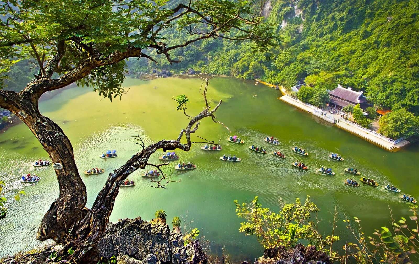 Hoa Lu - Trang An - Mua Cave Standard Tour3
