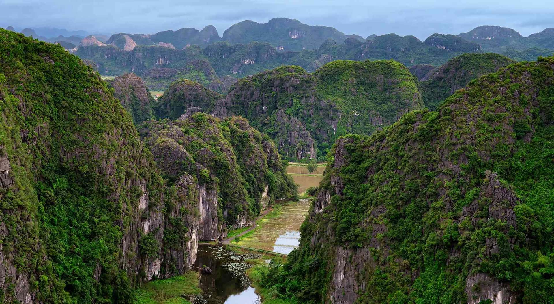 Hoa Lu Ancient Capital - Tam Coc And Mua Cave One Day From Hanoi3