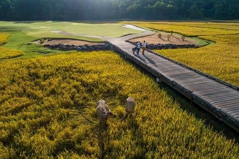 Laguna Lăng Cô Golf Club Experience from Da Nang