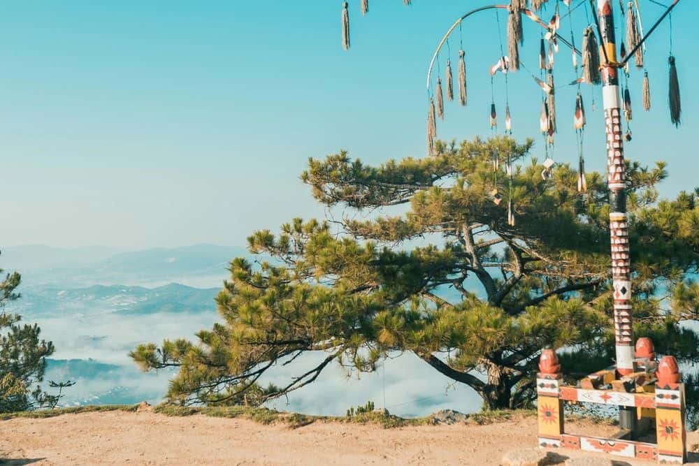 Langbiang Mountain Ticket2