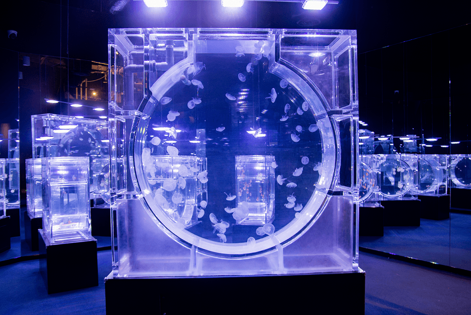 Lotte World Aquarium Hanoi Ticket2