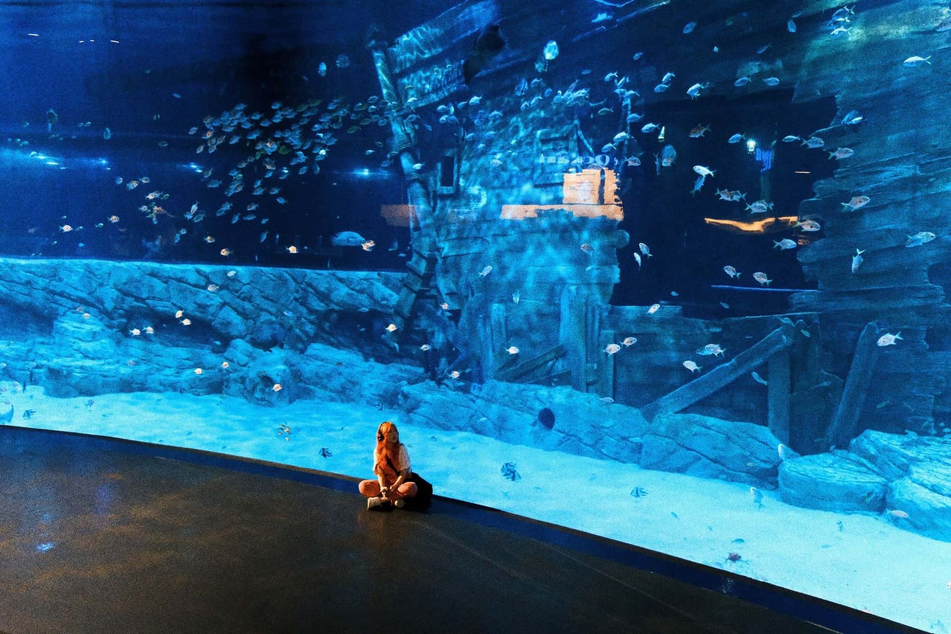 Lotte World Aquarium Hanoi Ticket4