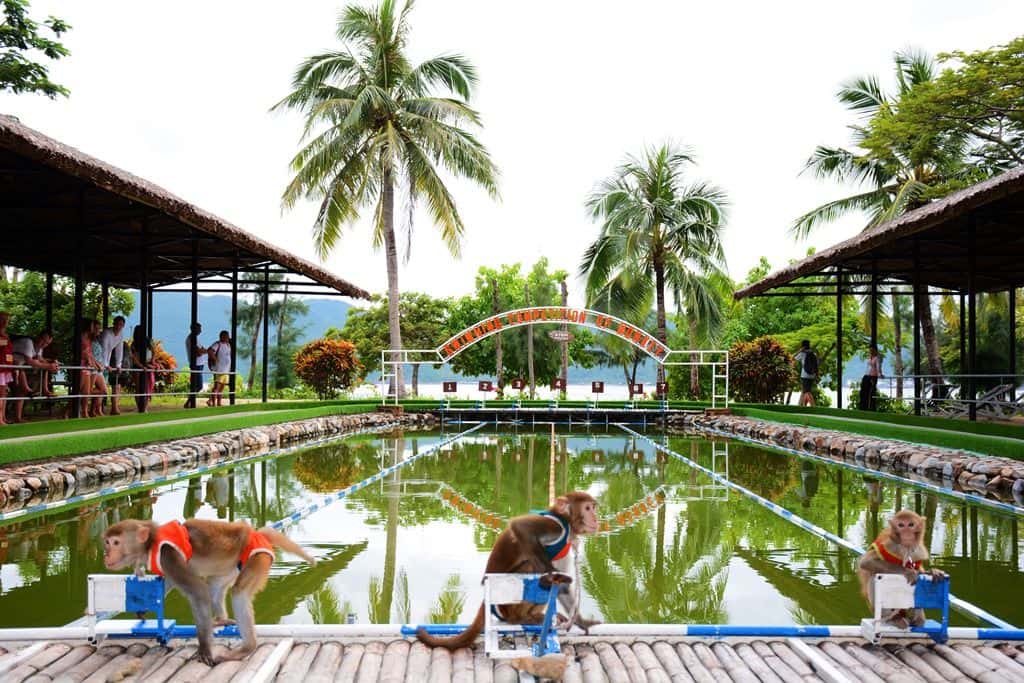 Monkey Island Ticket in Nha Trang4