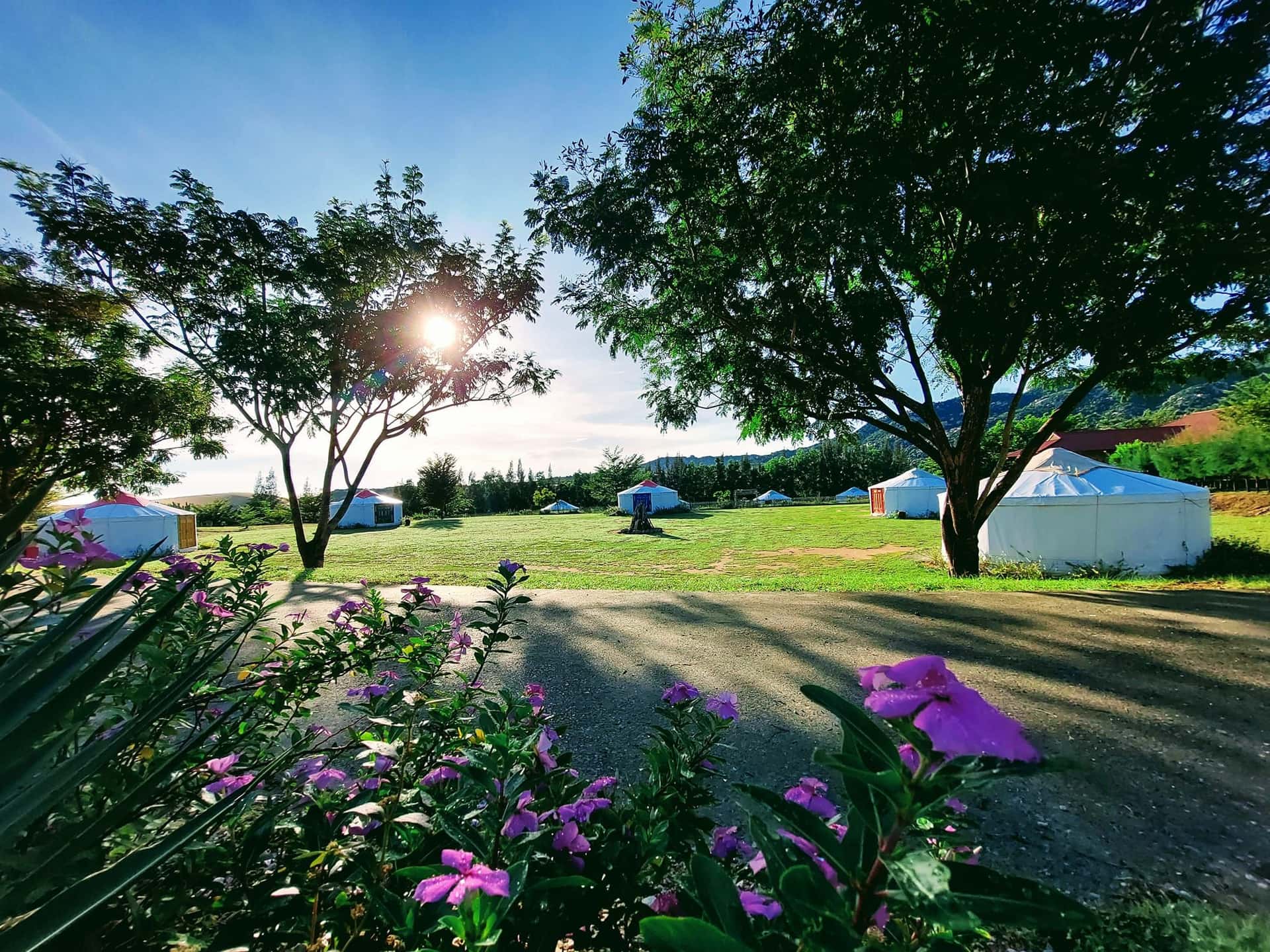 Ninh Thuan Day tour from Nha Trang with English speaking guide1