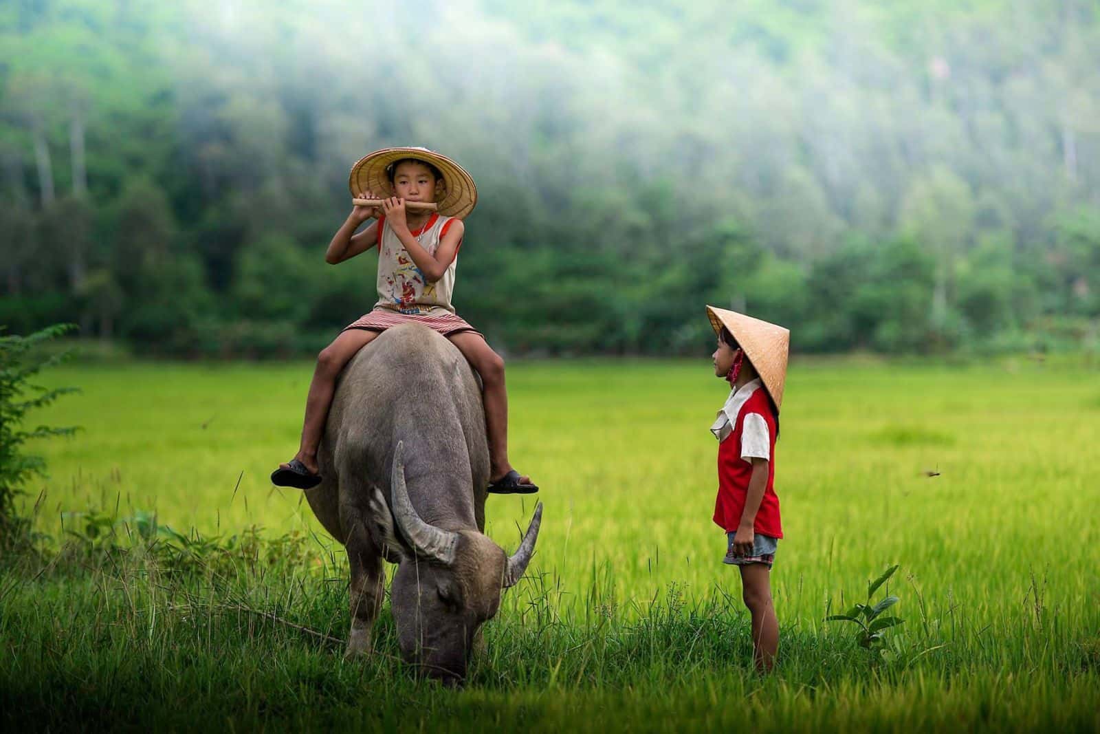 ทัวร์ปั่นจักรยานส่วนตัวในนาตรัง1