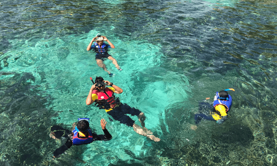 Snorkeling in the North island4