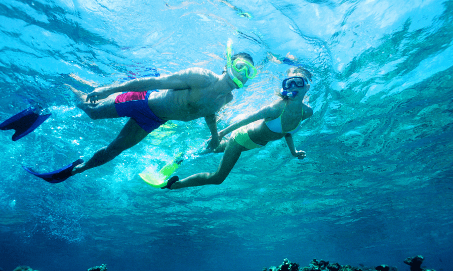 Snorkeling in the North island1
