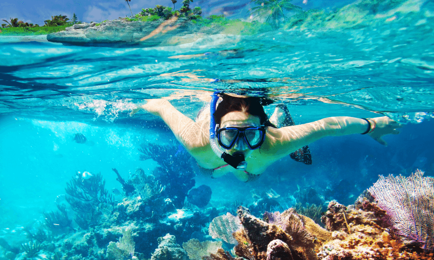 Snorkeling in the North island2