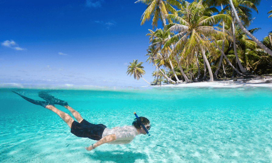 Snorkeling in the North island3