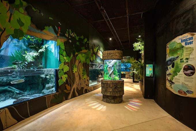 Angkor Wildlife & Aquarium1