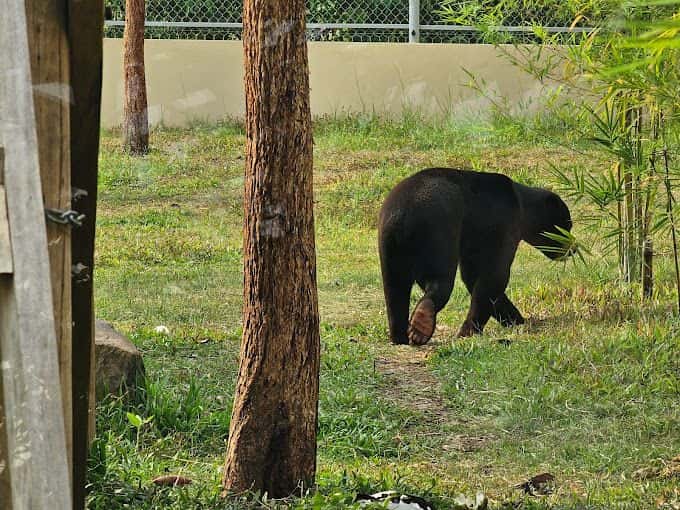Angkor Wildlife & Aquarium4