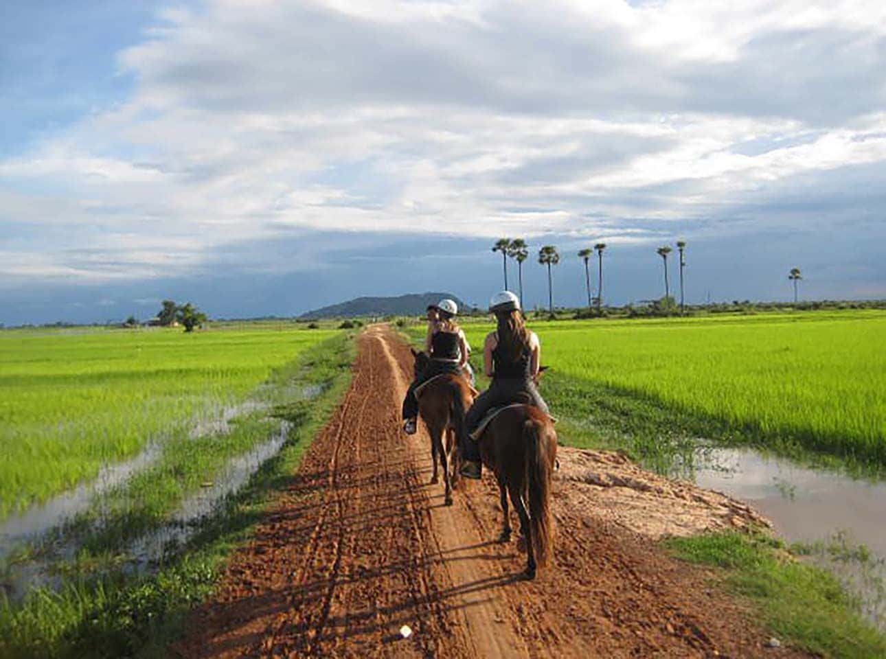 Siem Reap Happy Horse Riding2