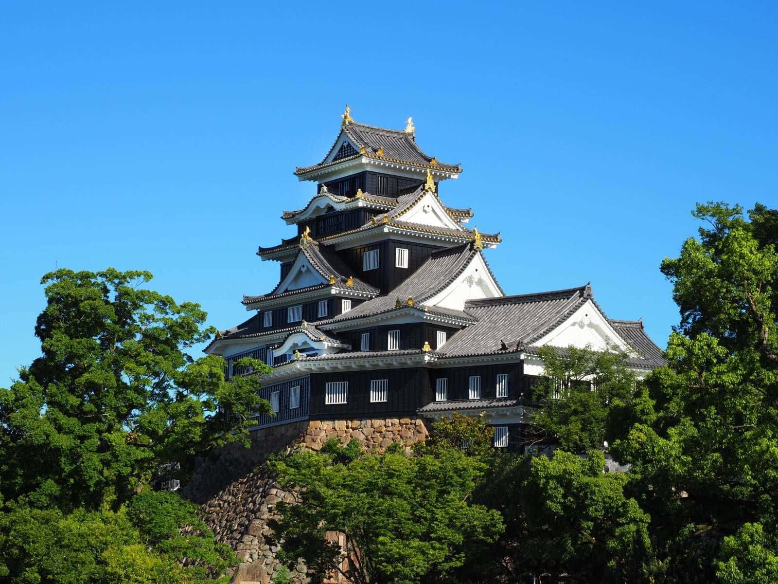 Admission Ticket Okayama Castle1
