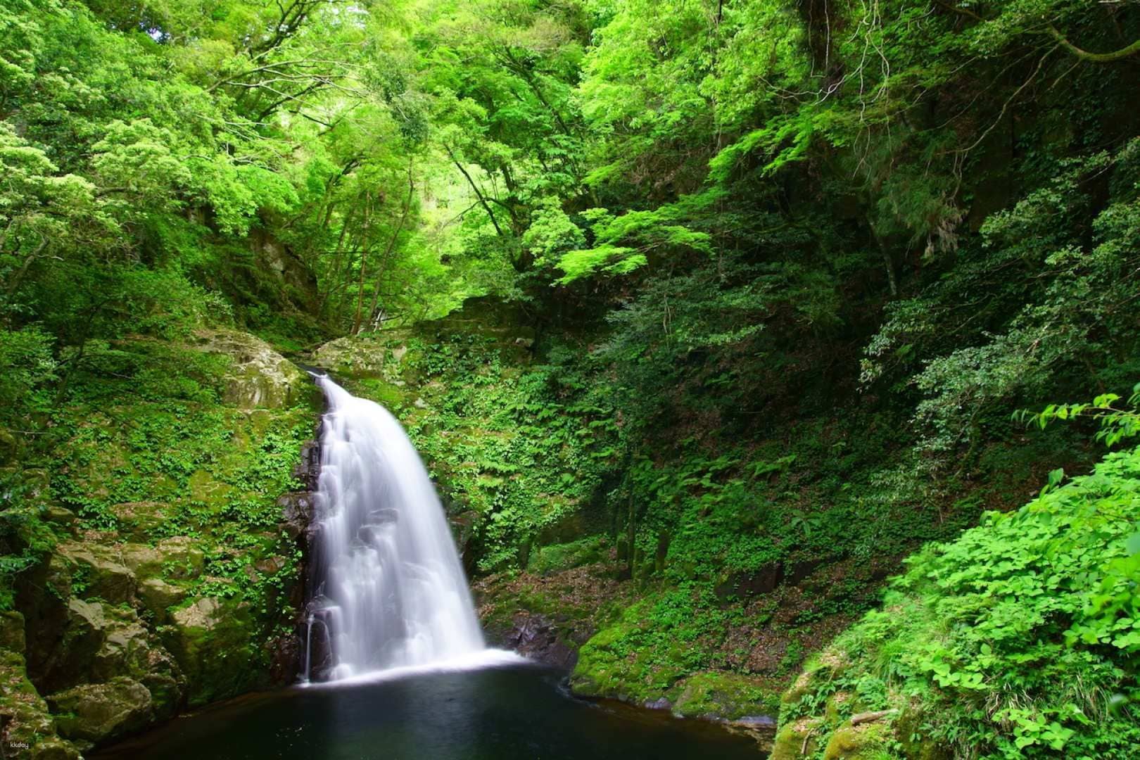 Akame 48 Waterfalls & Japan Salamander Center Admission | Mie