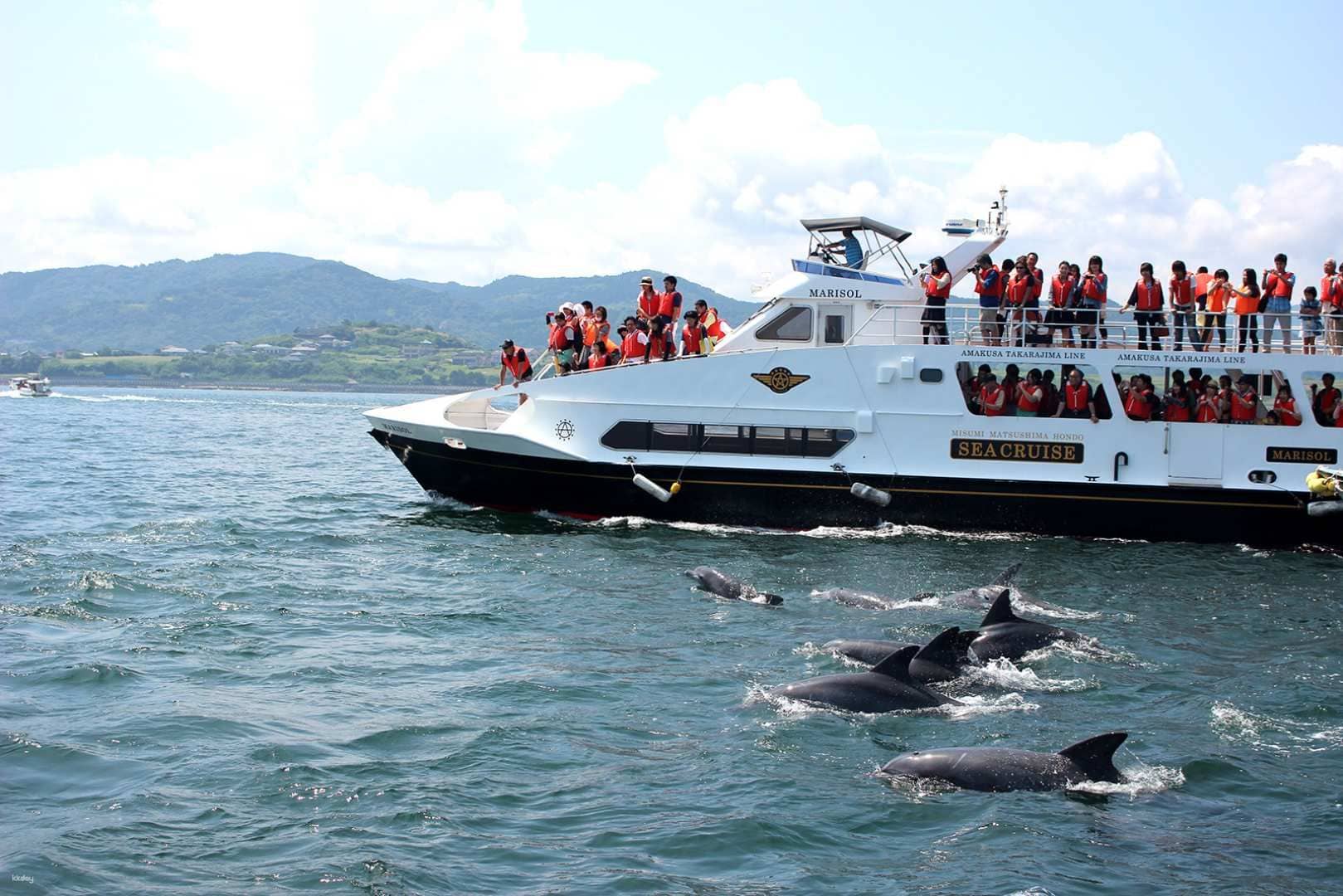 ล่องเรือชมปลาโลมาที่อะมากุสะ (Amakusa Dolphin Viewing Sea Cruise)