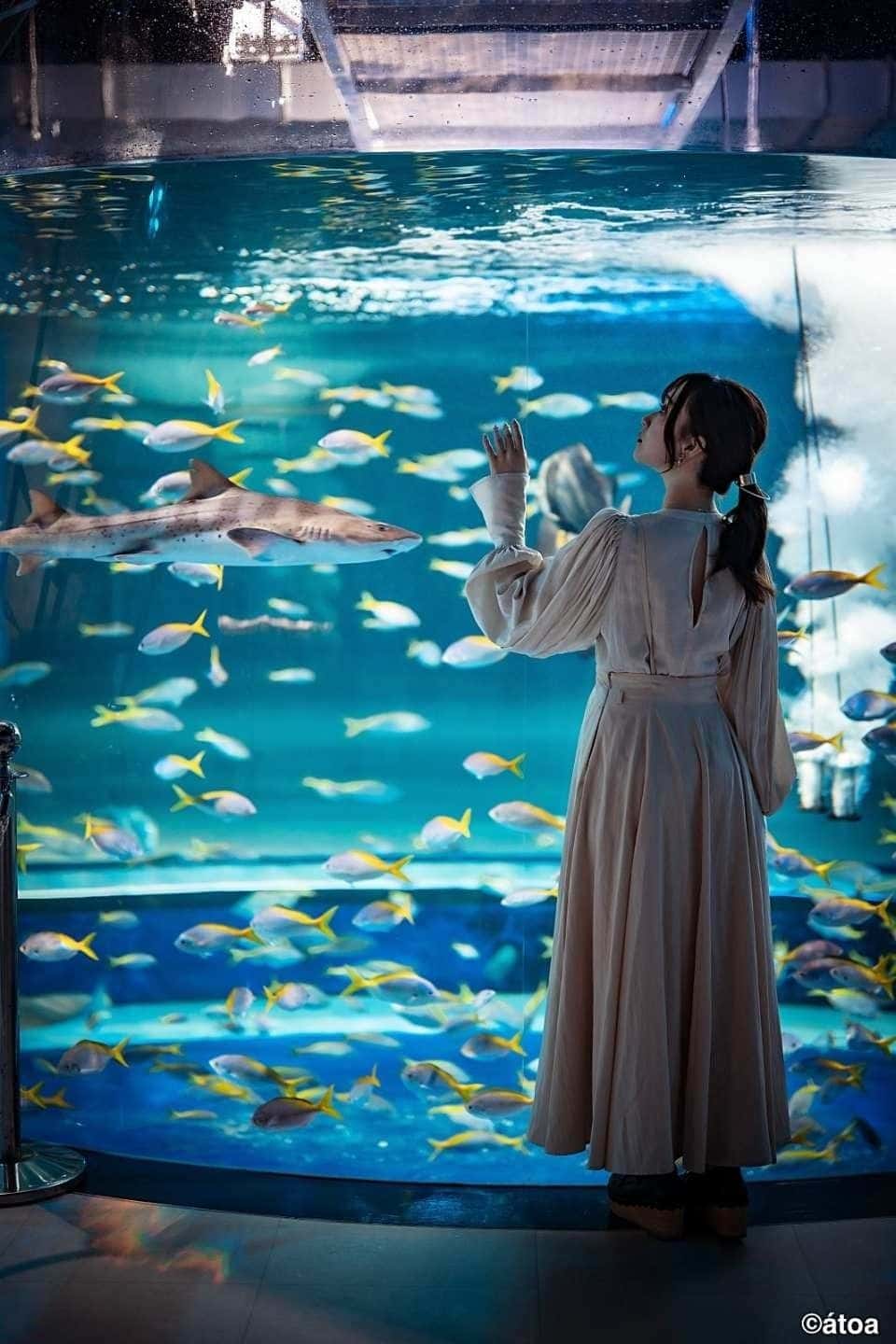 บัตรเข้าชม AQUARIUM x ART átoa โกเบ อควาเรียมผสานศิลปะดิจิทัลสุดล้ำ1