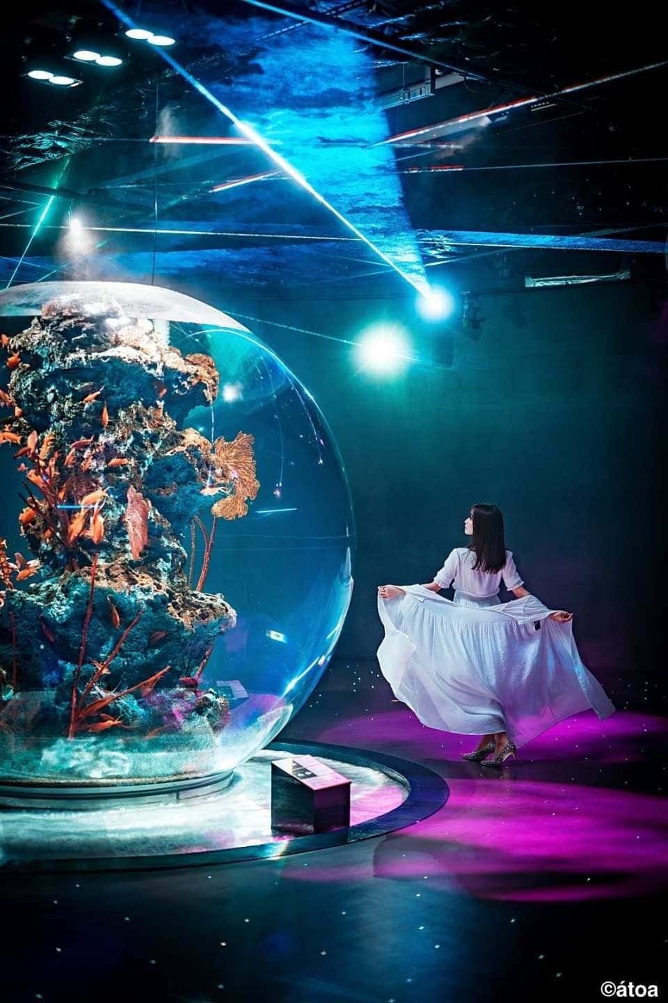 บัตรเข้าชม AQUARIUM x ART átoa โกเบ อควาเรียมผสานศิลปะดิจิทัลสุดล้ำ2