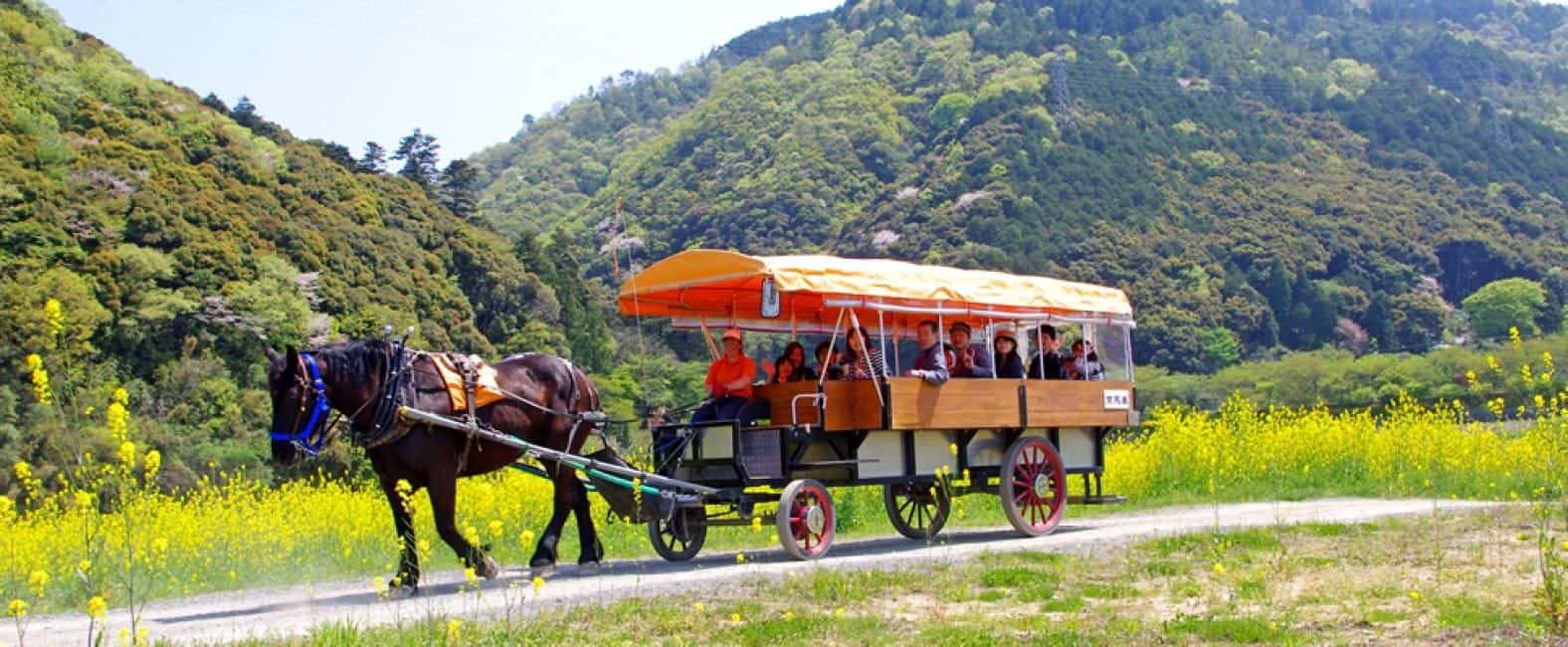 Arashiyama Half-Day Tour: Sagano Romantic Train, Hozugawa River Cruise & Horse Carriage Ride | Kyoto2