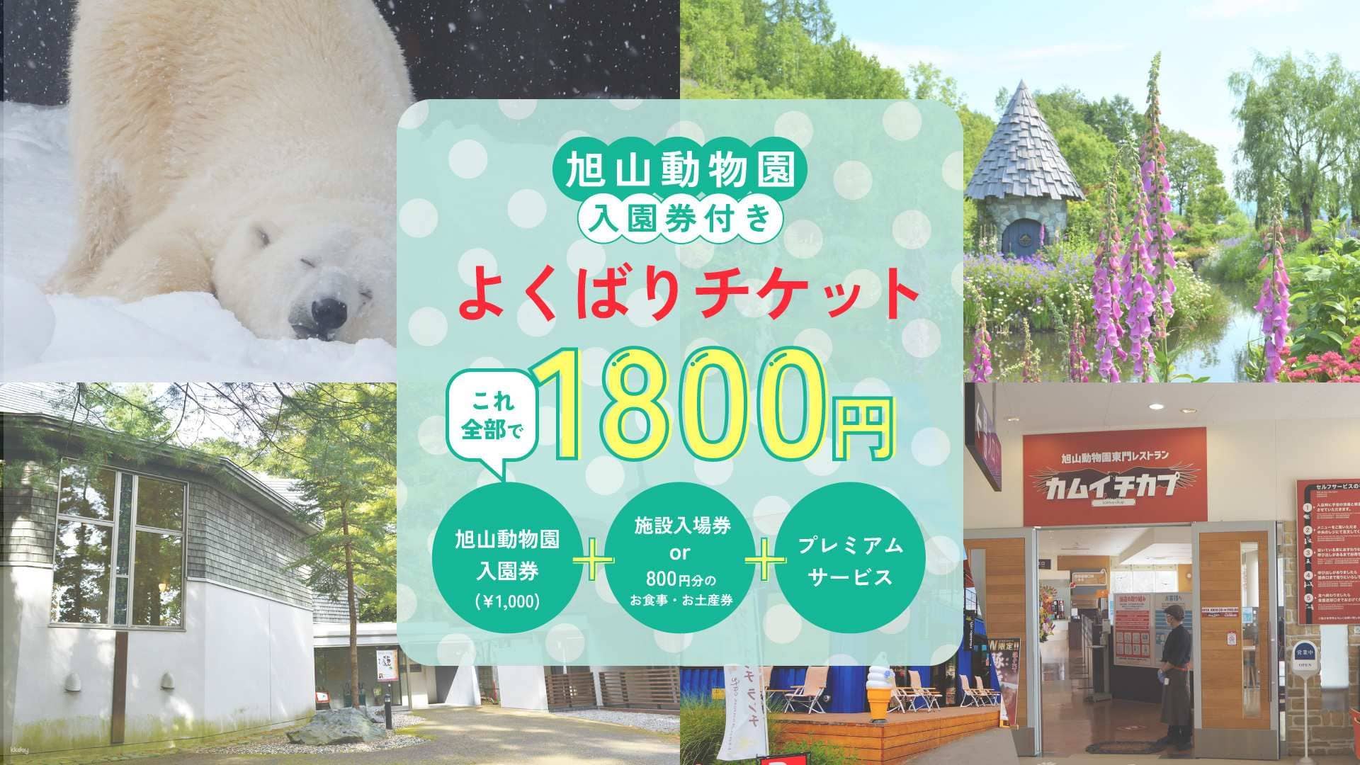 Asahikawa, Hokkaido|Yokubari Greedy Ticket including Asahiyama Zoo Admission Ticket|Reservations Confirmed Immediately
