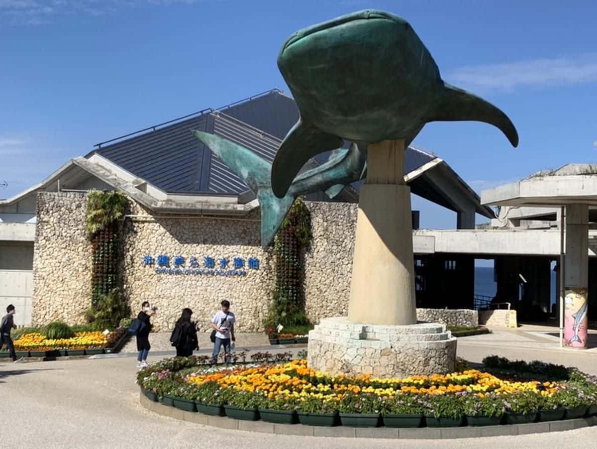 Churashima Northern Okinawa Bus Day Tour (Naha or Chatan Departure)4