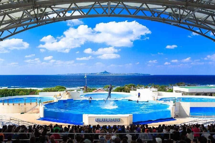 Churashima Northern Okinawa Bus Day Tour (Naha or Chatan Departure)2