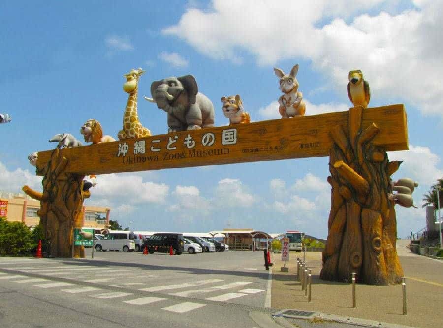 Churaumi TokuToku Pass4