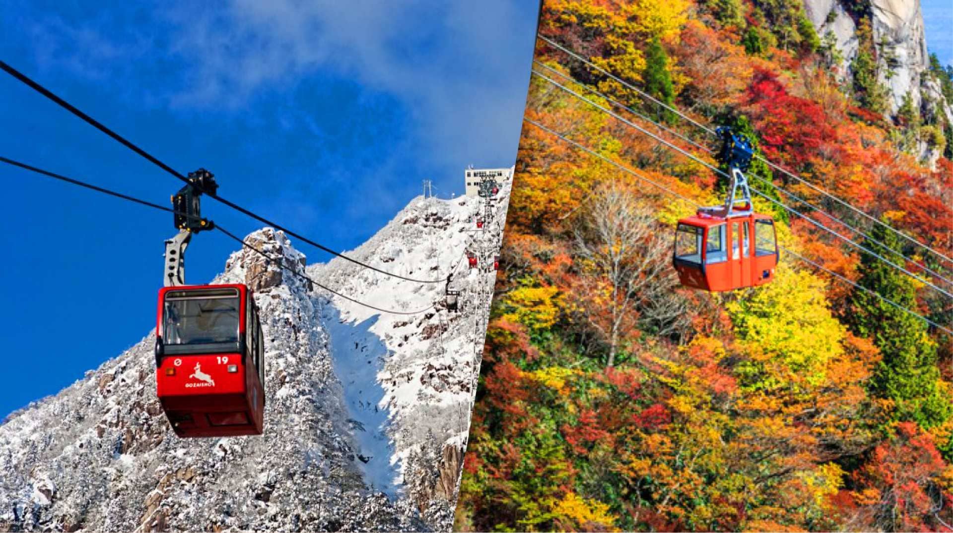 Fall Foliage or Winter Frosted Trees: Gozaishodake Ropeway, Hoarfrost and Nabana no Sato Illumination Bus Day Tour from Osaka | Japan