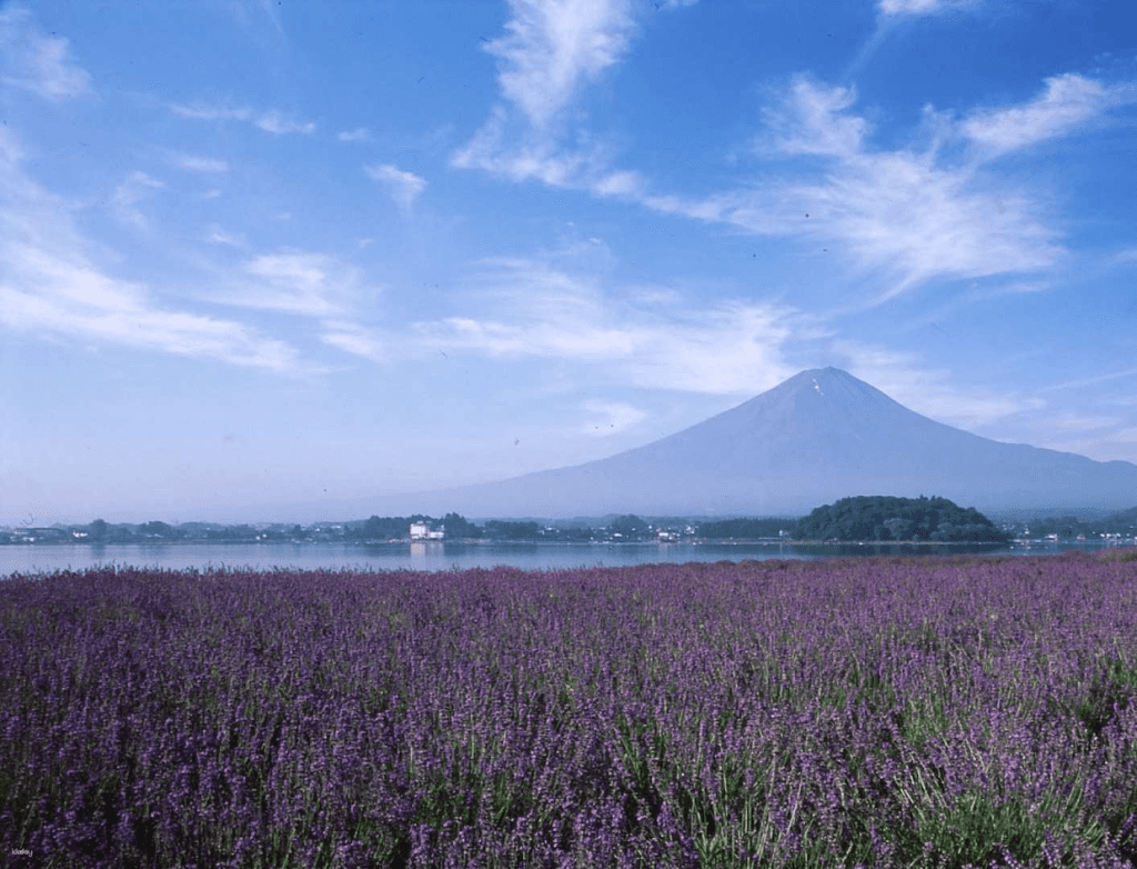 Fuji-Hakone 3-Day Pass3