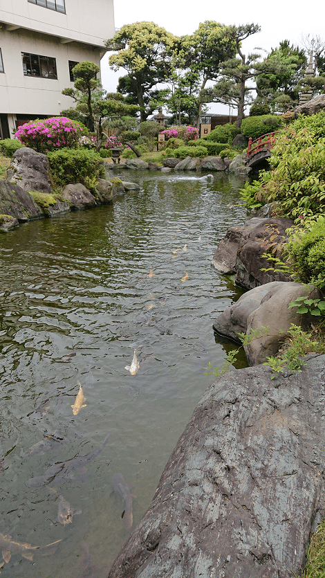 Fukui Awara Onsen Hot Spring & Matcha Experience Tour