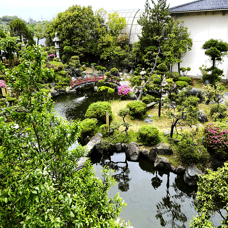 Fukui Awara Onsen Hot Spring & Matcha Experience Tour3