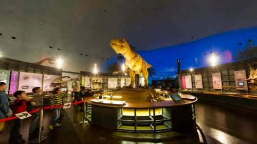 Fukui Prefectural Dinosaur Museum2