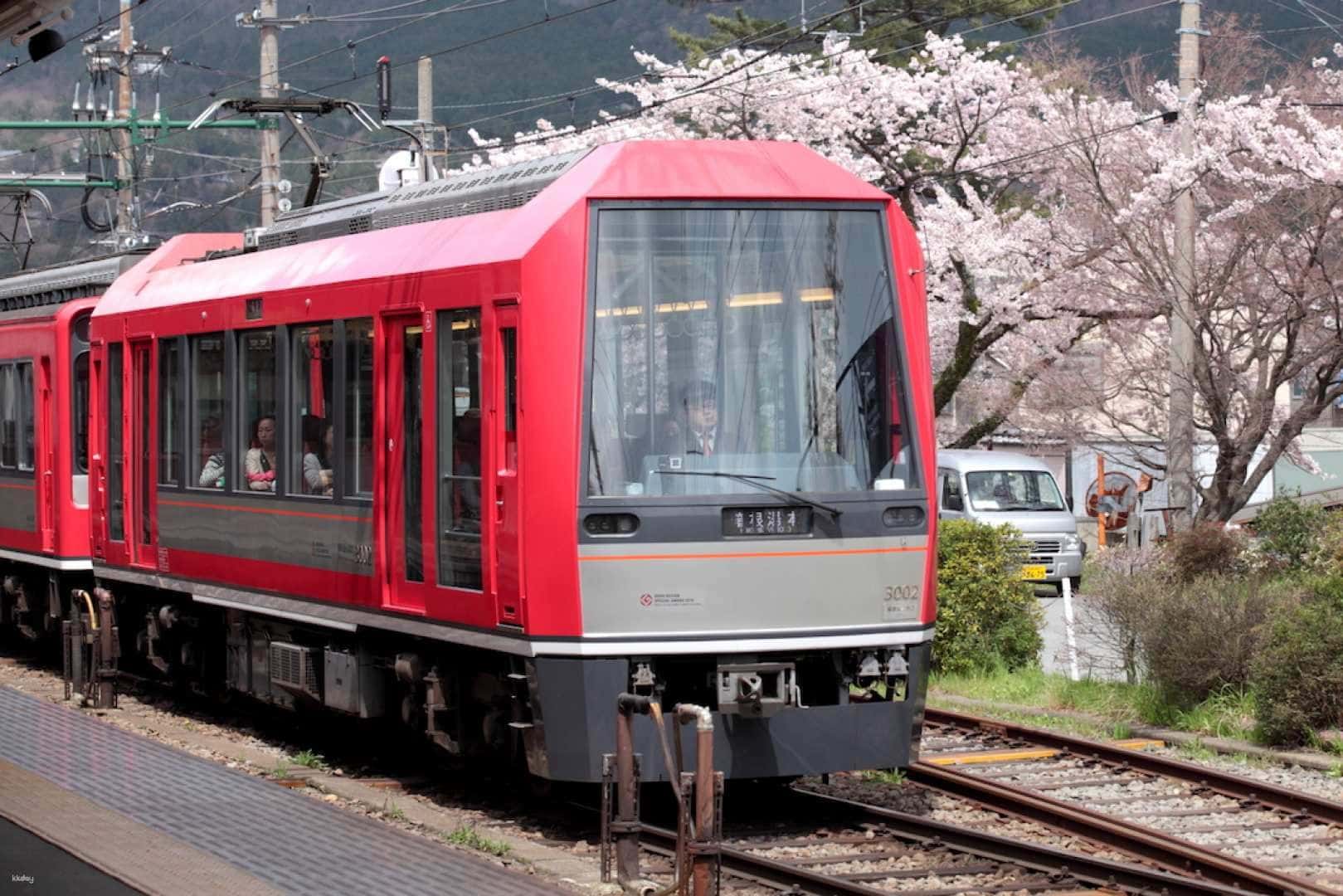 Hakone 2-Day & 3-Day Freepass Travel Voucher | Japan2
