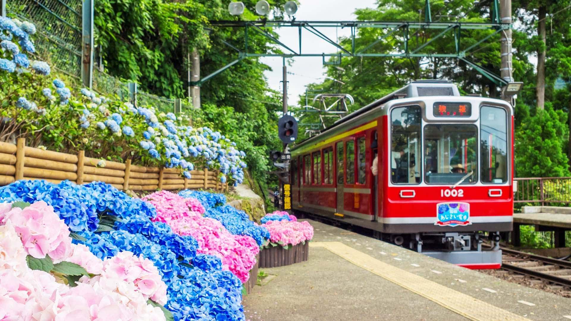 Hakone 2-Day & 3-Day Freepass Travel Voucher | Japan3