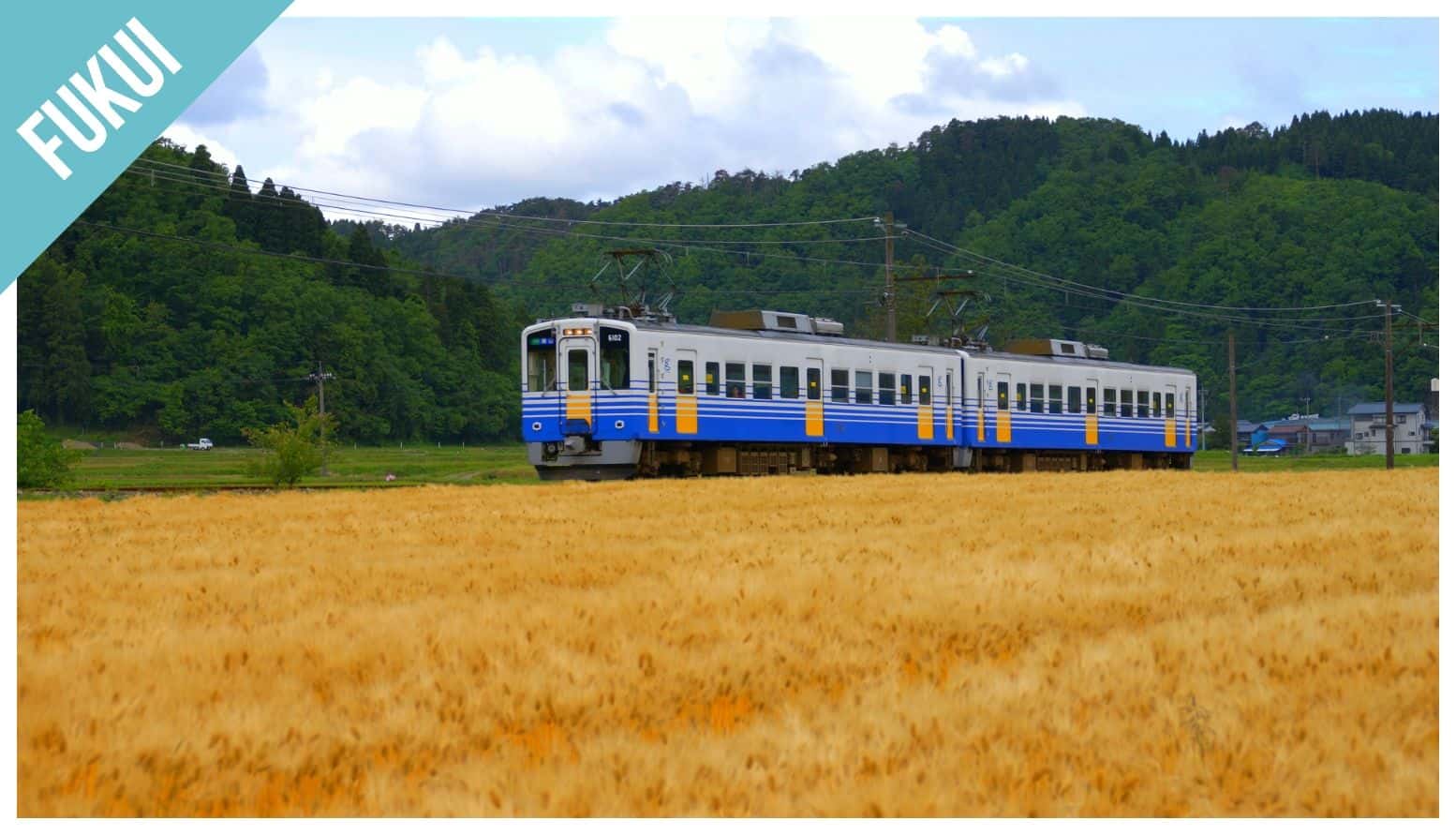 Have Fun in Fukui1