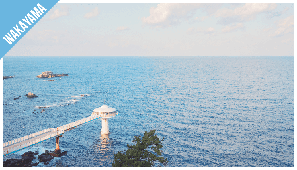 Have Fun in WAKAYAMA3