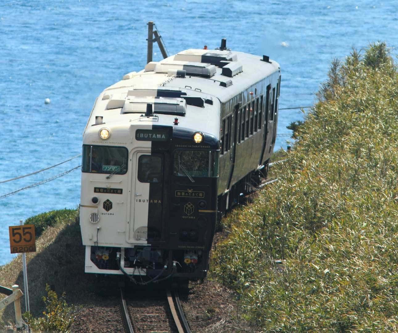 JR Kyushu Rail Pass (All Kyushu/Northern Kyushu/Southern Kyushu)1