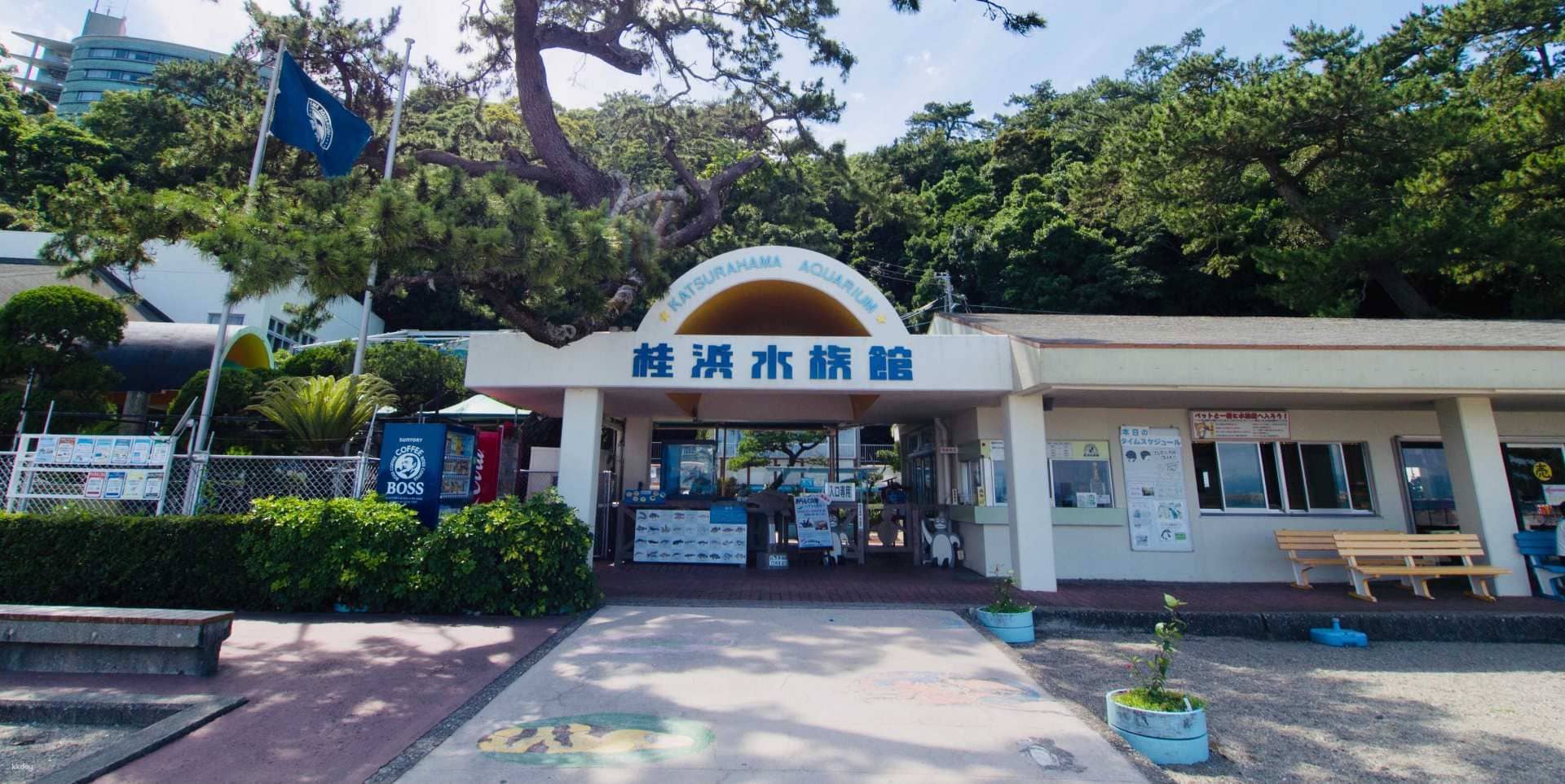 Katsurahama Aquarium Ticket | Kochi Prefecture