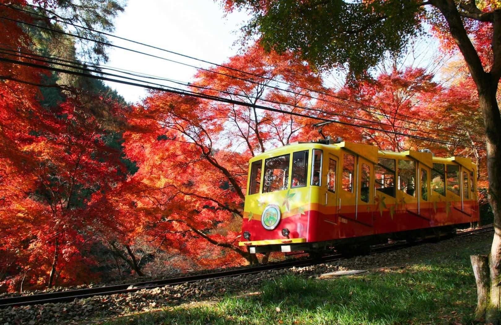 Keio One-Day Ticket with Mt. Takao Cable Car and Chair Lift Tickets1