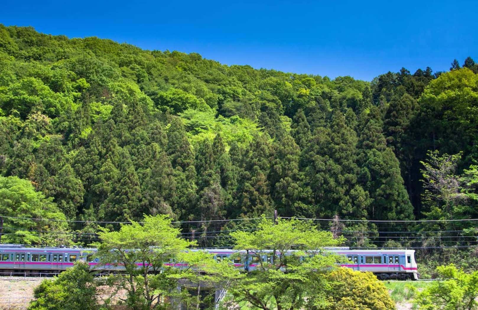 Keio One-Day Ticket with Mt. Takao Cable Car and Chair Lift Tickets4